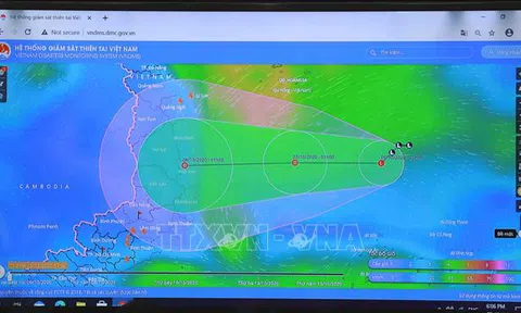 Chủ động ứng phó với vùng áp thấp có khả năng thành áp thấp nhiệt đới